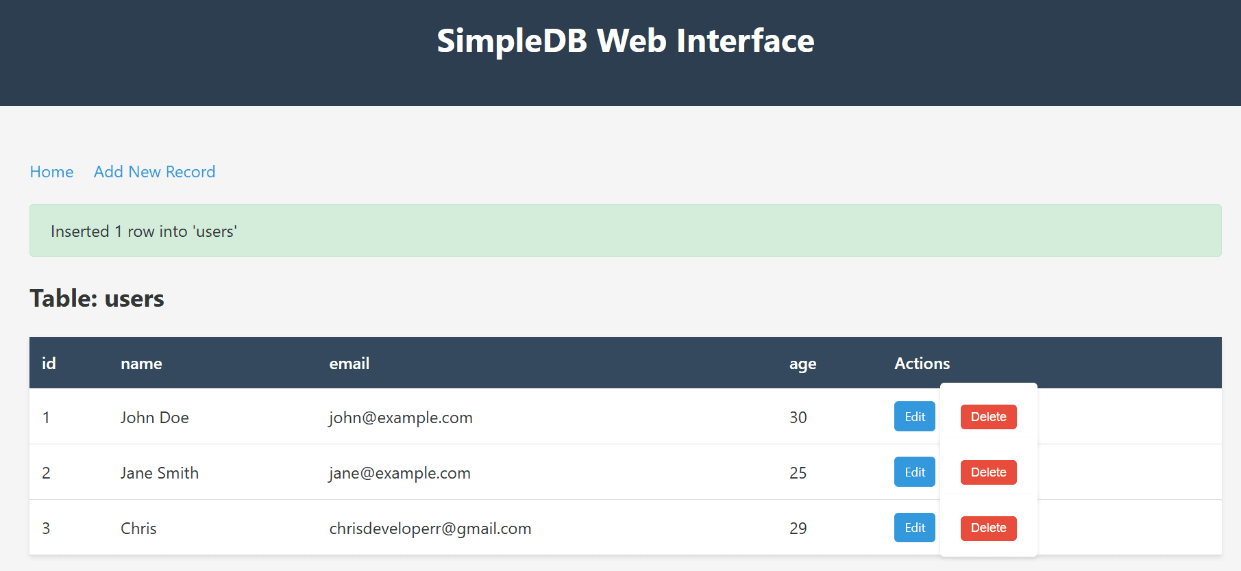 Pesapal Junior Dev Challenge - In-Memory RDBMS screenshot 2